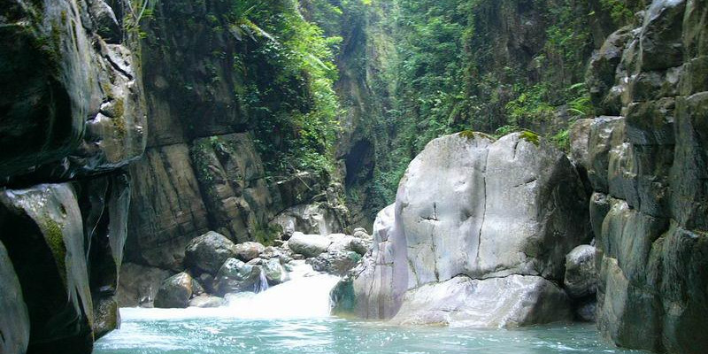 Yunmeng Mountain Forest Bathing Wellness Month